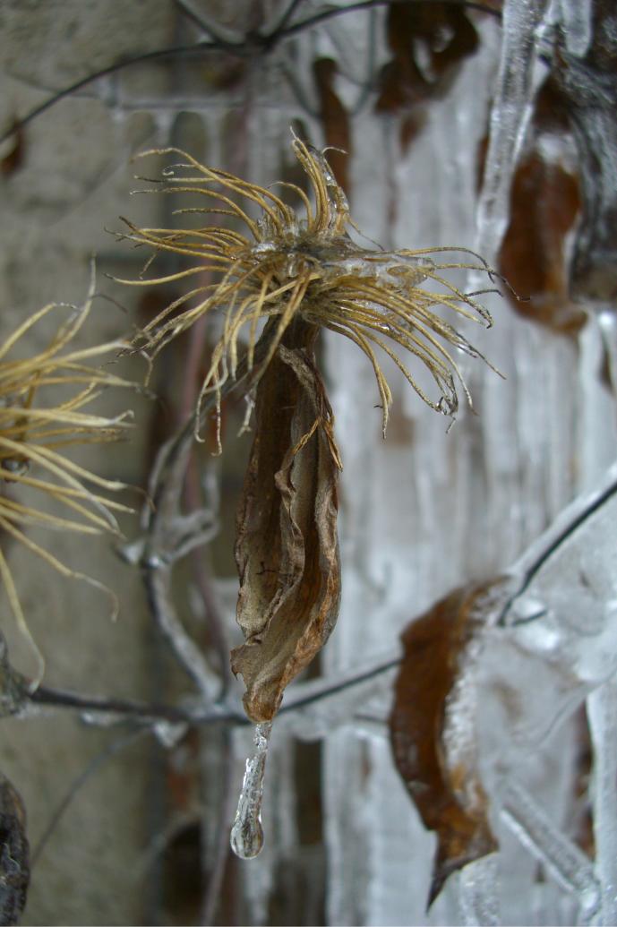 Eiskönigins Baumschmuck