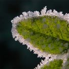 Eiskontur im Gegenlicht