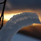 Eiskristal im Durchlicht