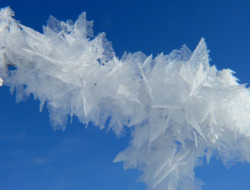 Eiskristall Foto & Bild | archiv projekte naturchannel, eismakros ...
