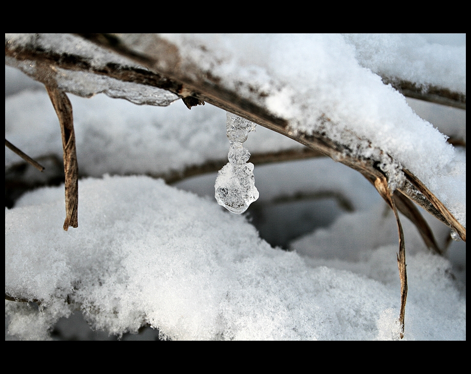 ~ Eiskristall ~