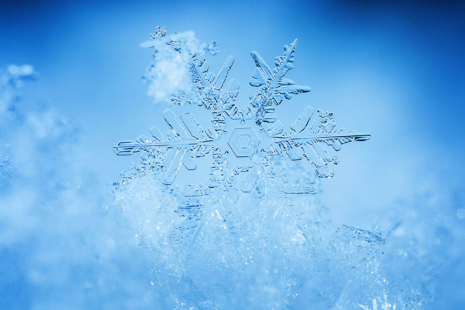 Eiskristall Foto & Bild jahreszeiten, winter, makro Bilder auf