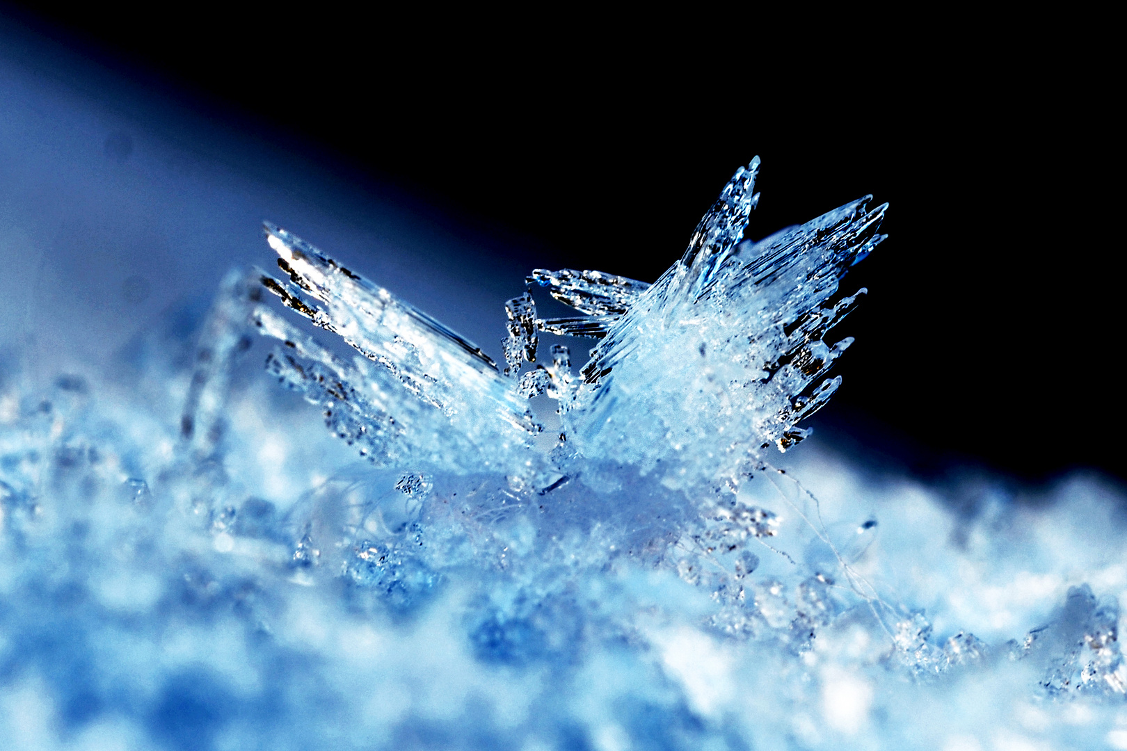 Eiskristall - blaues Licht Foto & Bild  sonstiges, wasser im detail 