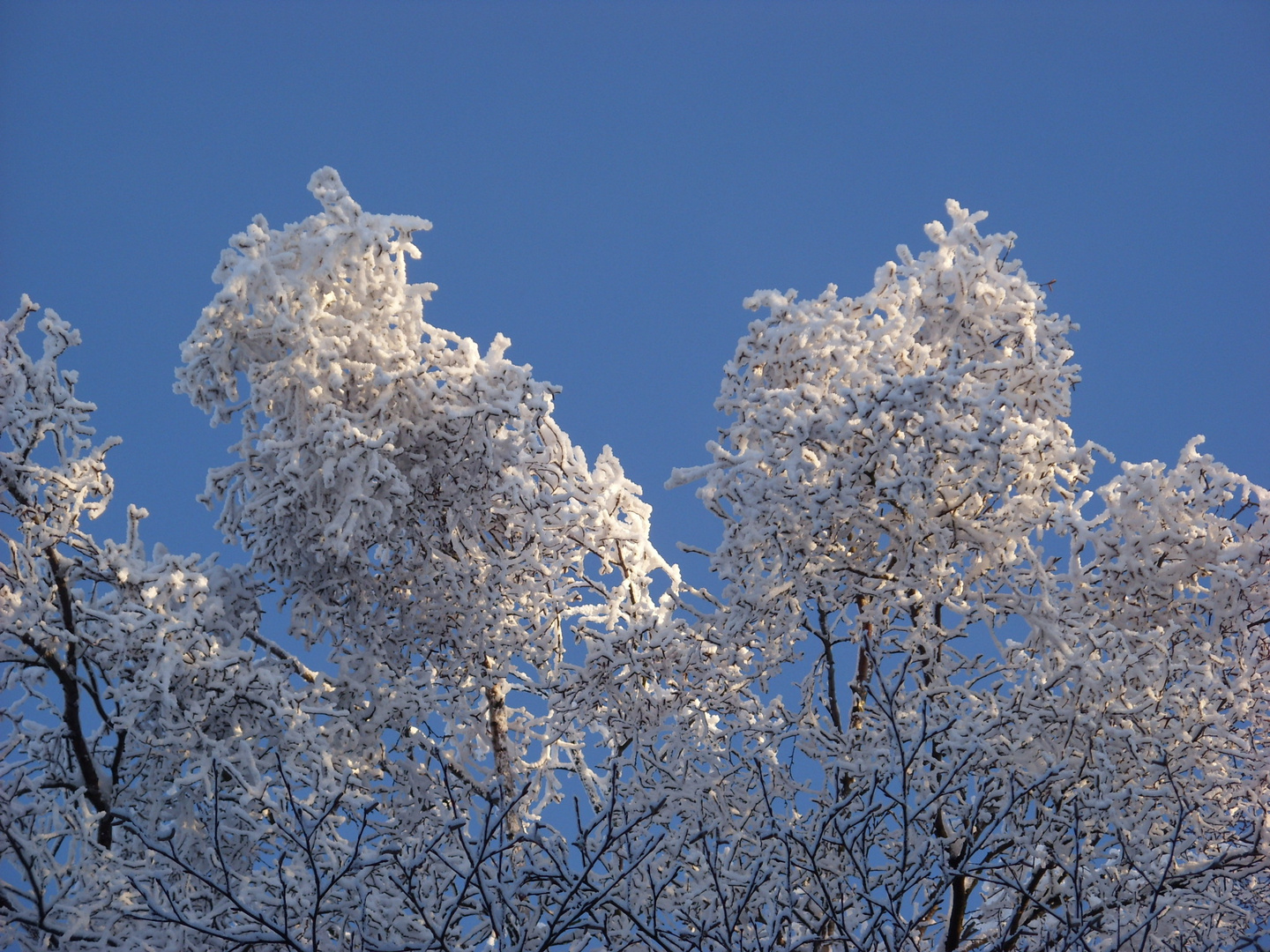 Eiskristallbezug