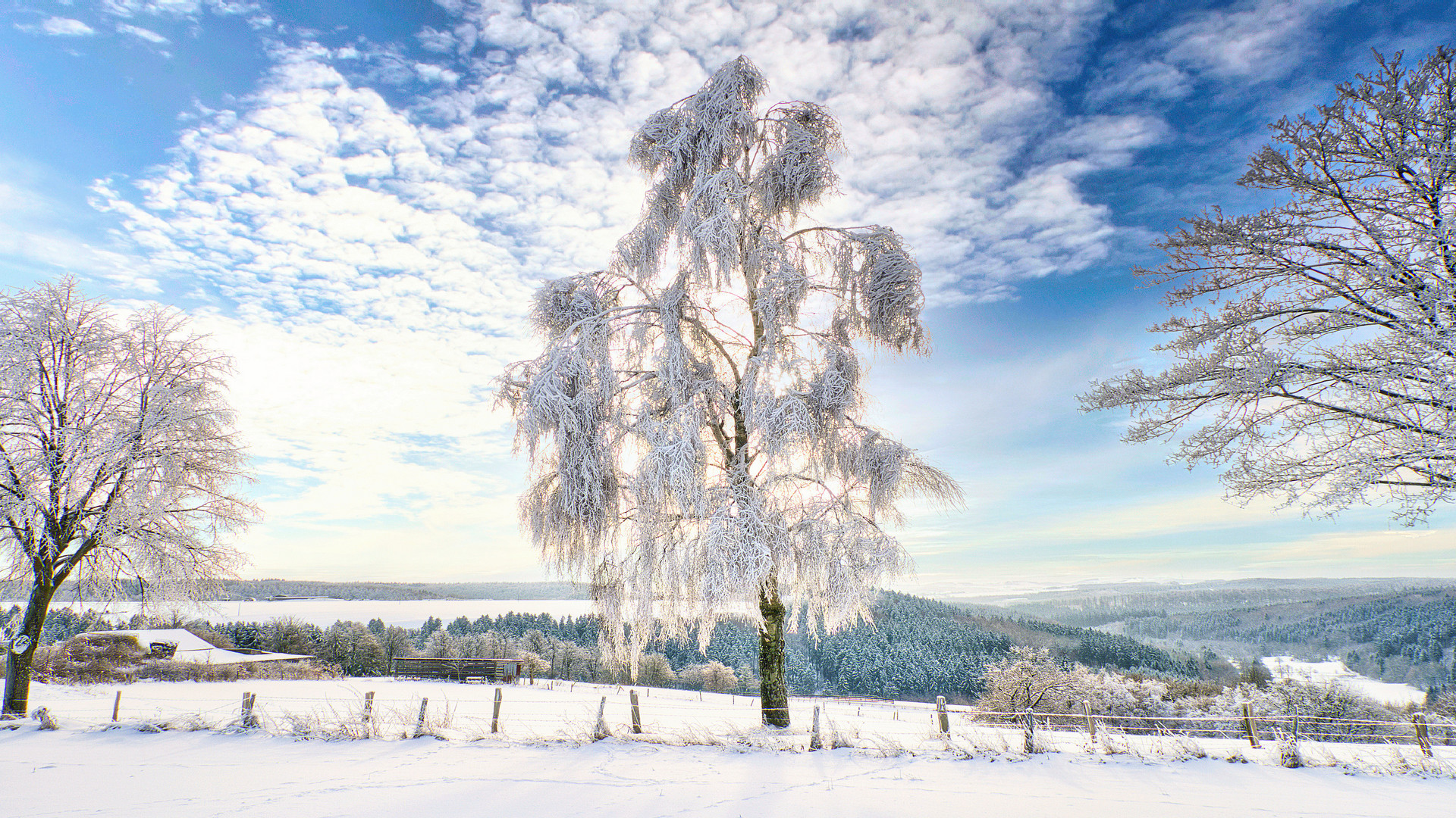 Eiskristalle 2022-18-12-2022