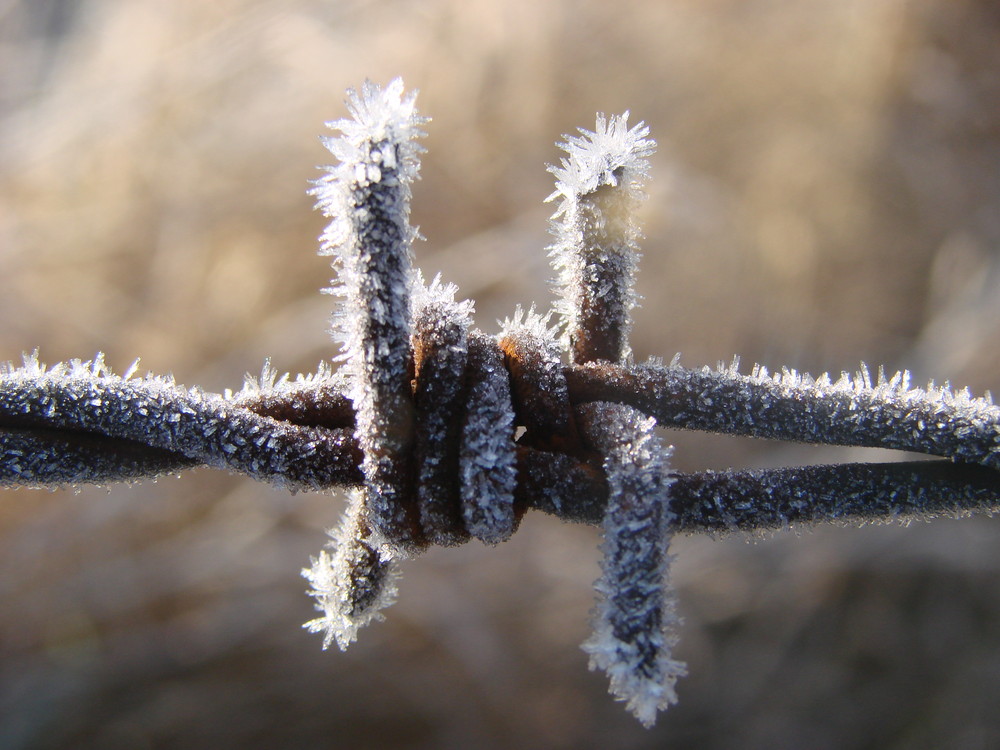 Eiskristalle