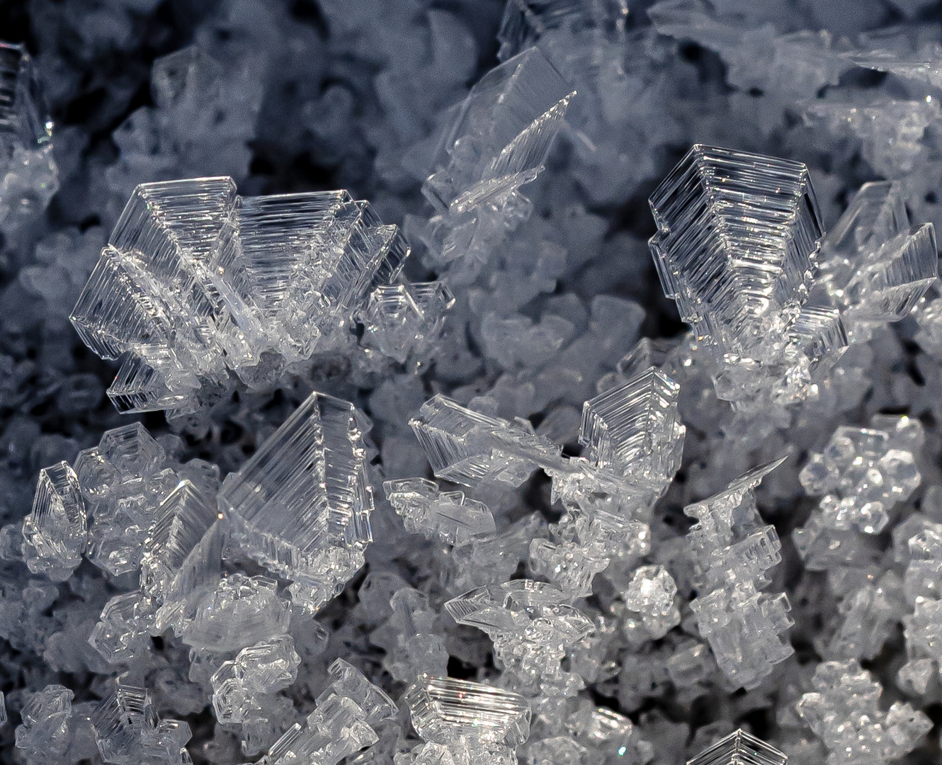 Eiskristalle Foto & Bild gefroren, kalt, makro Bilder auf