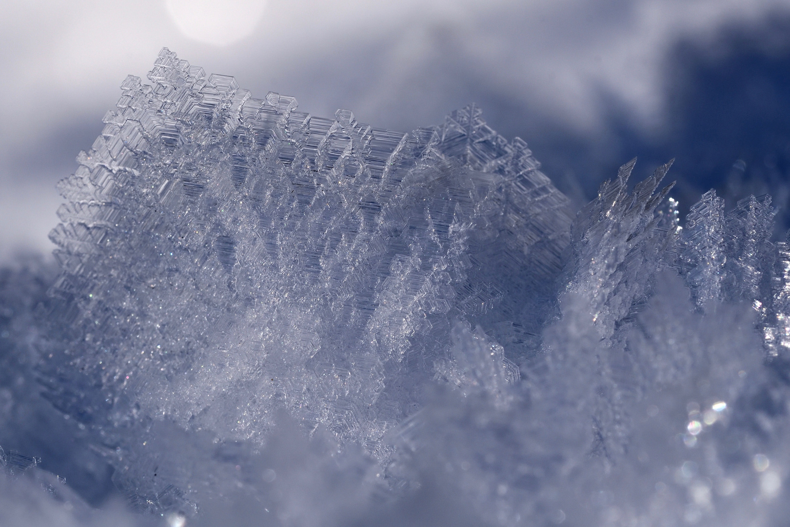 Eiskristalle  Foto & Bild  fotoquerschnitt 1, winter, schnee Bilder 