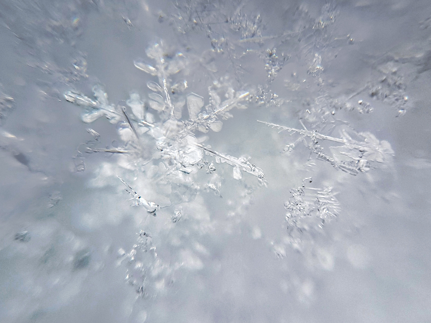 Eiskristalle Foto & Bild naturmakros, naturkreativ
