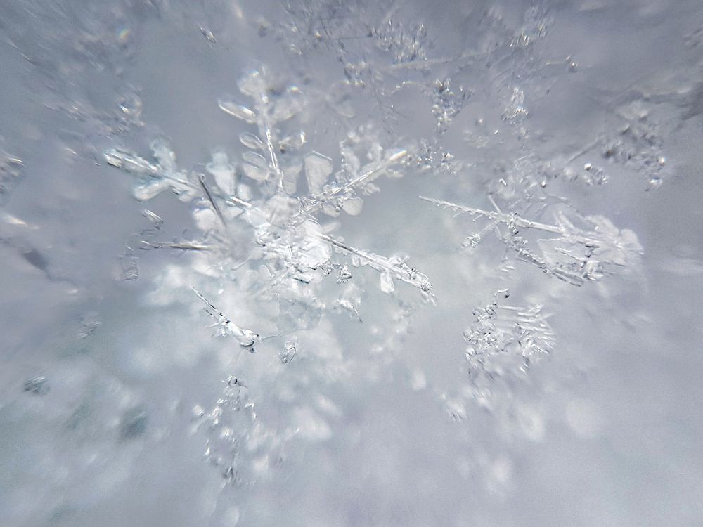 Eiskristalle Foto & Bild | natur-makros, natur-kreativ ...