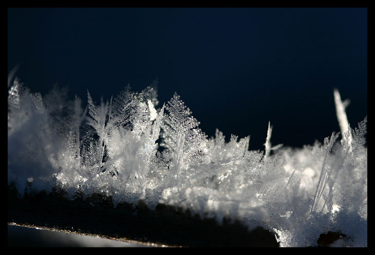 Eiskristalle von Annette Vorwerk-Dörries