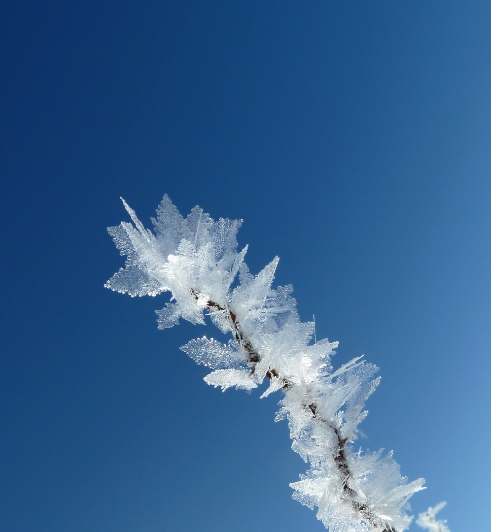 Eiskristalle Foto &amp; Bild | jahreszeiten, winter, natur Bilder auf ...