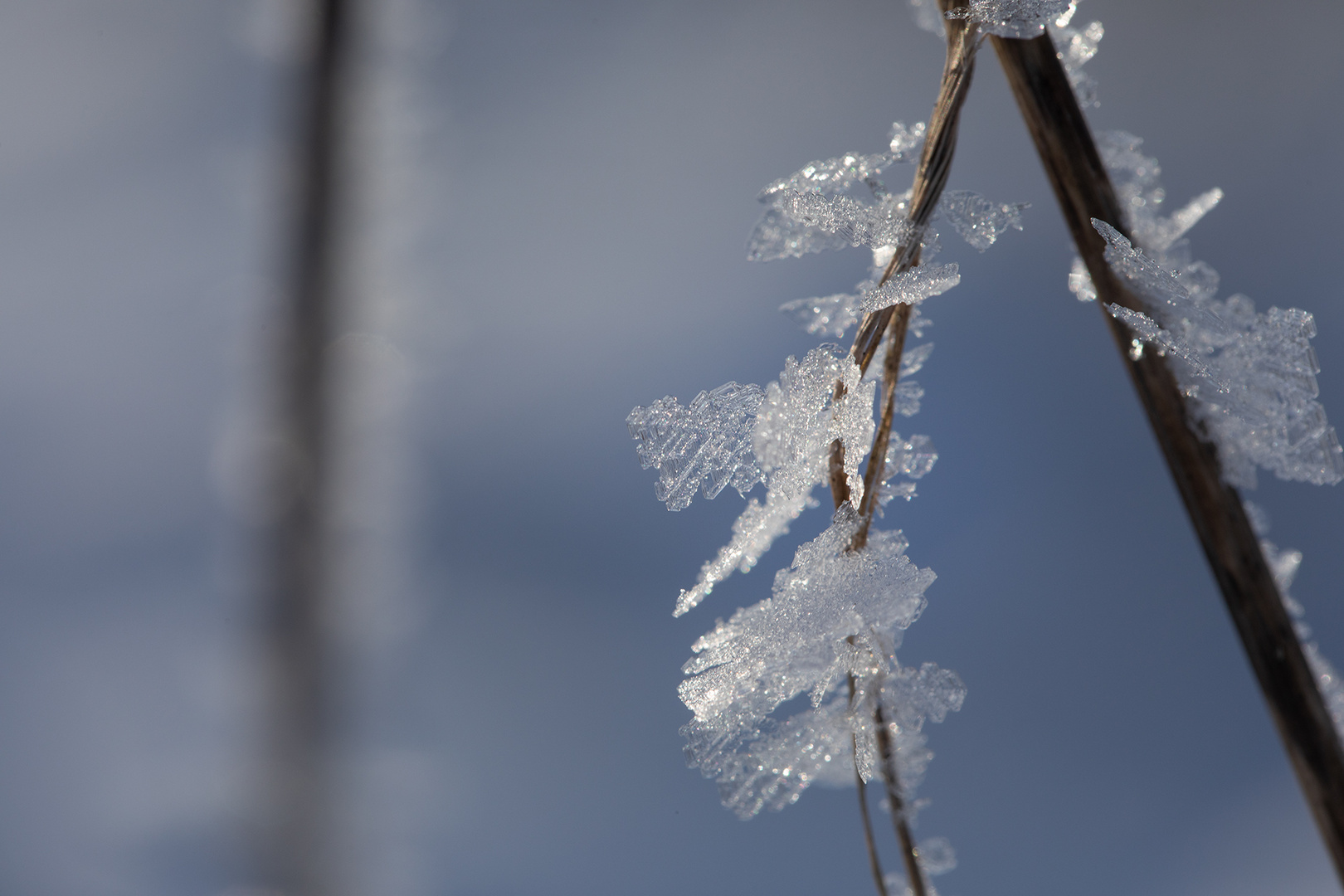 Eiskristalle Foto & Bild jahreszeiten, winter, schnee Bilder auf