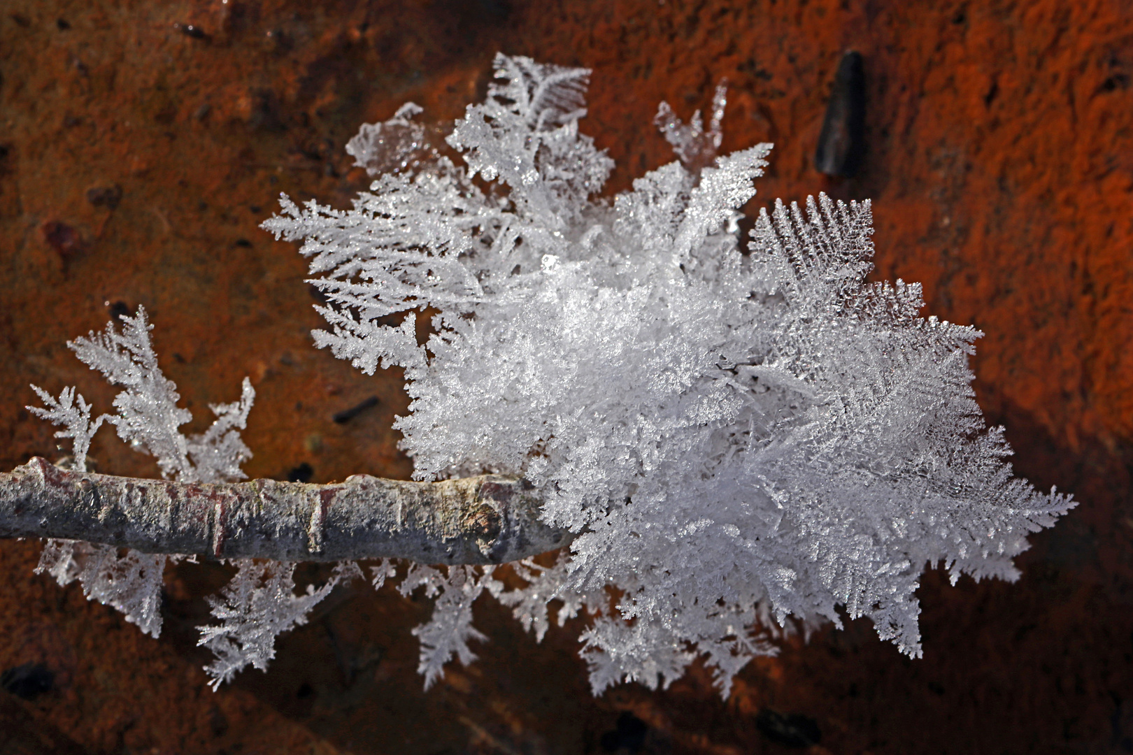 Eiskristalle am Ast über dem stehenden Wasser