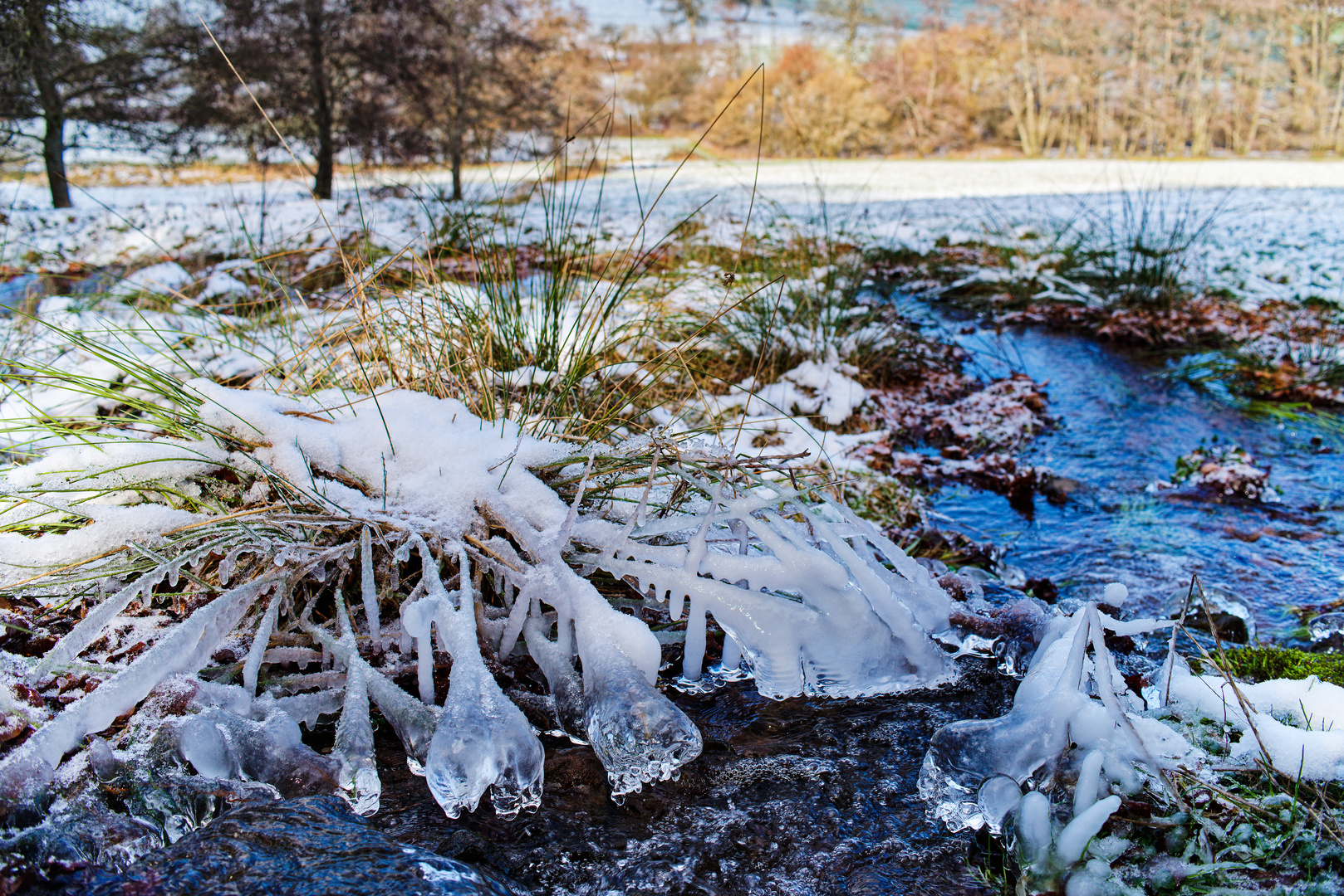 Eiskristalle am Bachlauf