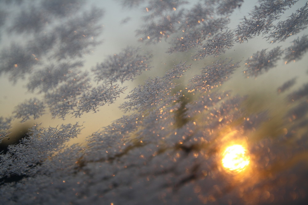 Eiskristalle am Fenster