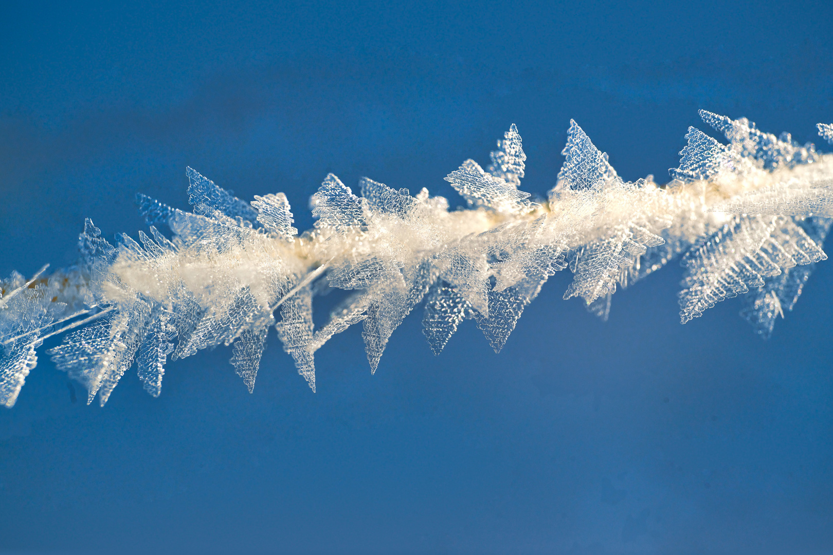 Eiskristalle am frühen Morgen