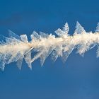 Eiskristalle am frühen Morgen