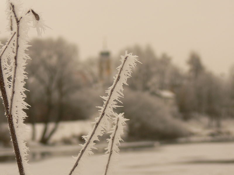 Eiskristalle am morgentlichen Flussufer - Vorsicht zerbrechlich