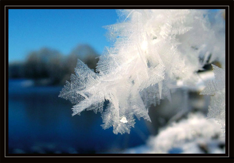 Eiskristalle am See