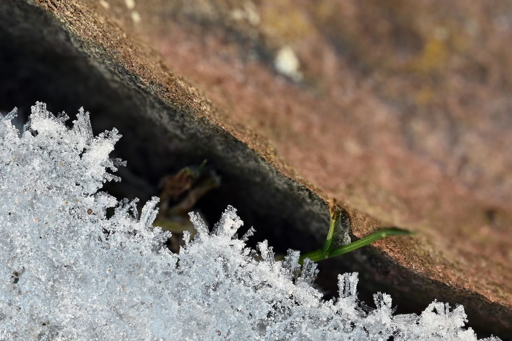 Eiskristalle am Wegesrand