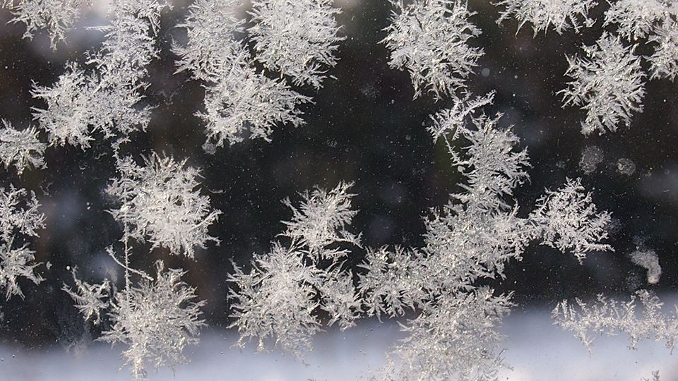 Eiskristalle an der Bushaltestelle 