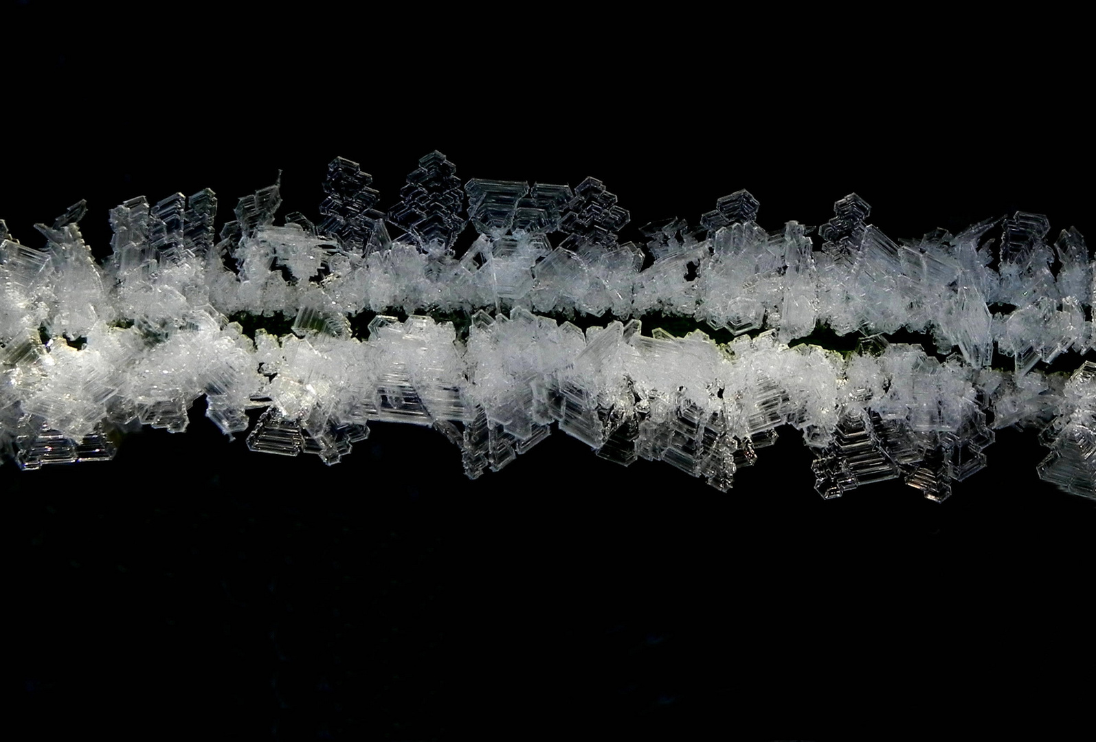 Eiskristalle an einem Grashalm