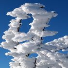 Eiskristalle auf dem Brocken im Oberharz