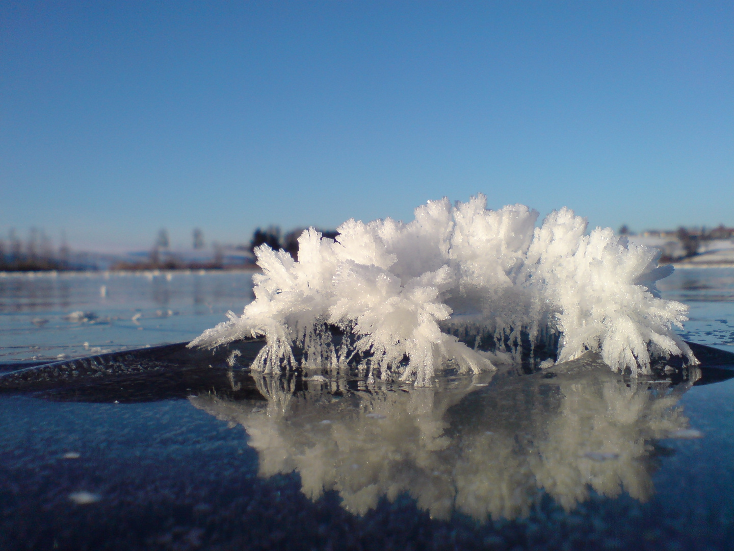 Eiskristalle auf dem Riegsee