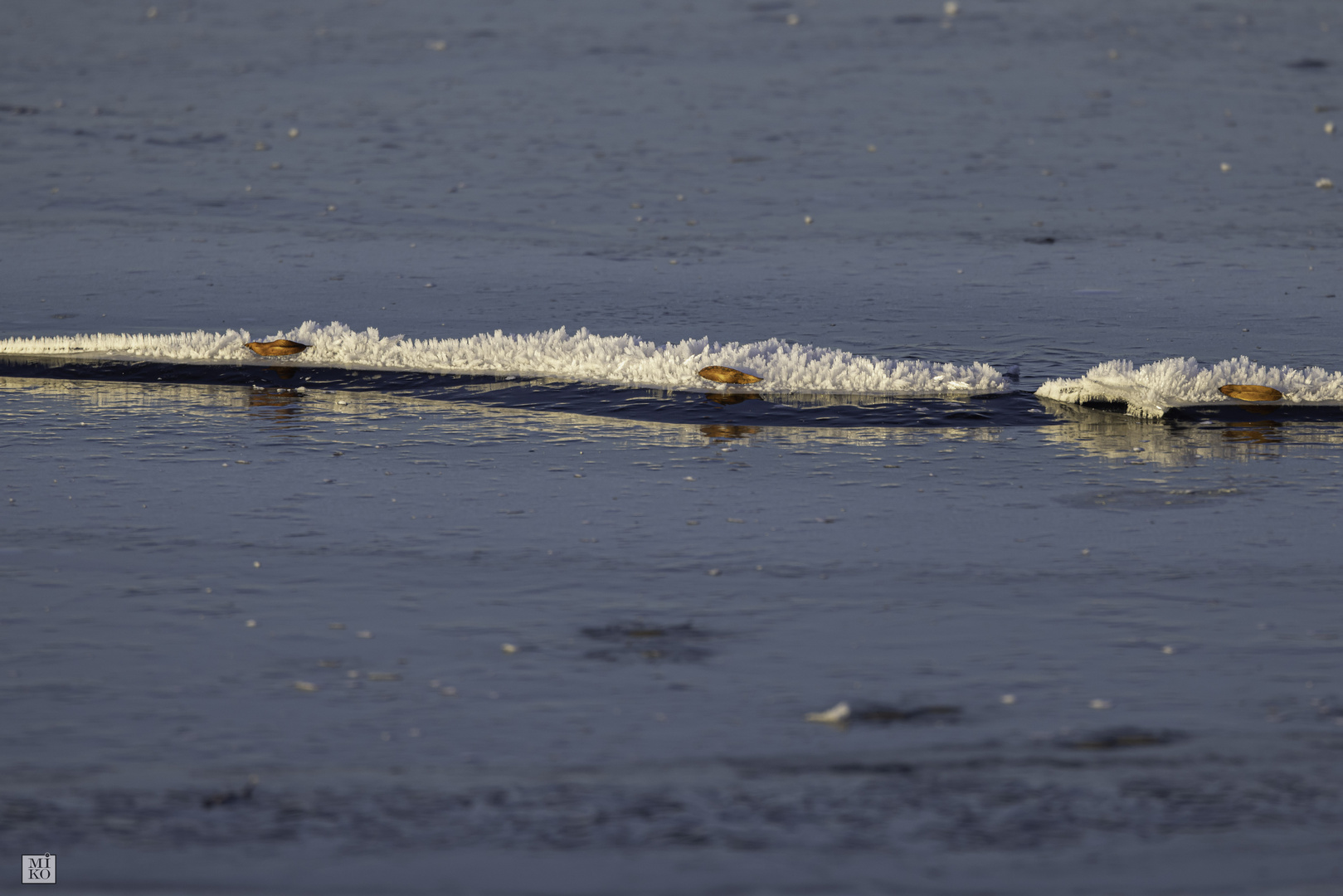 Eiskristalle auf dem Steinhuder Meer