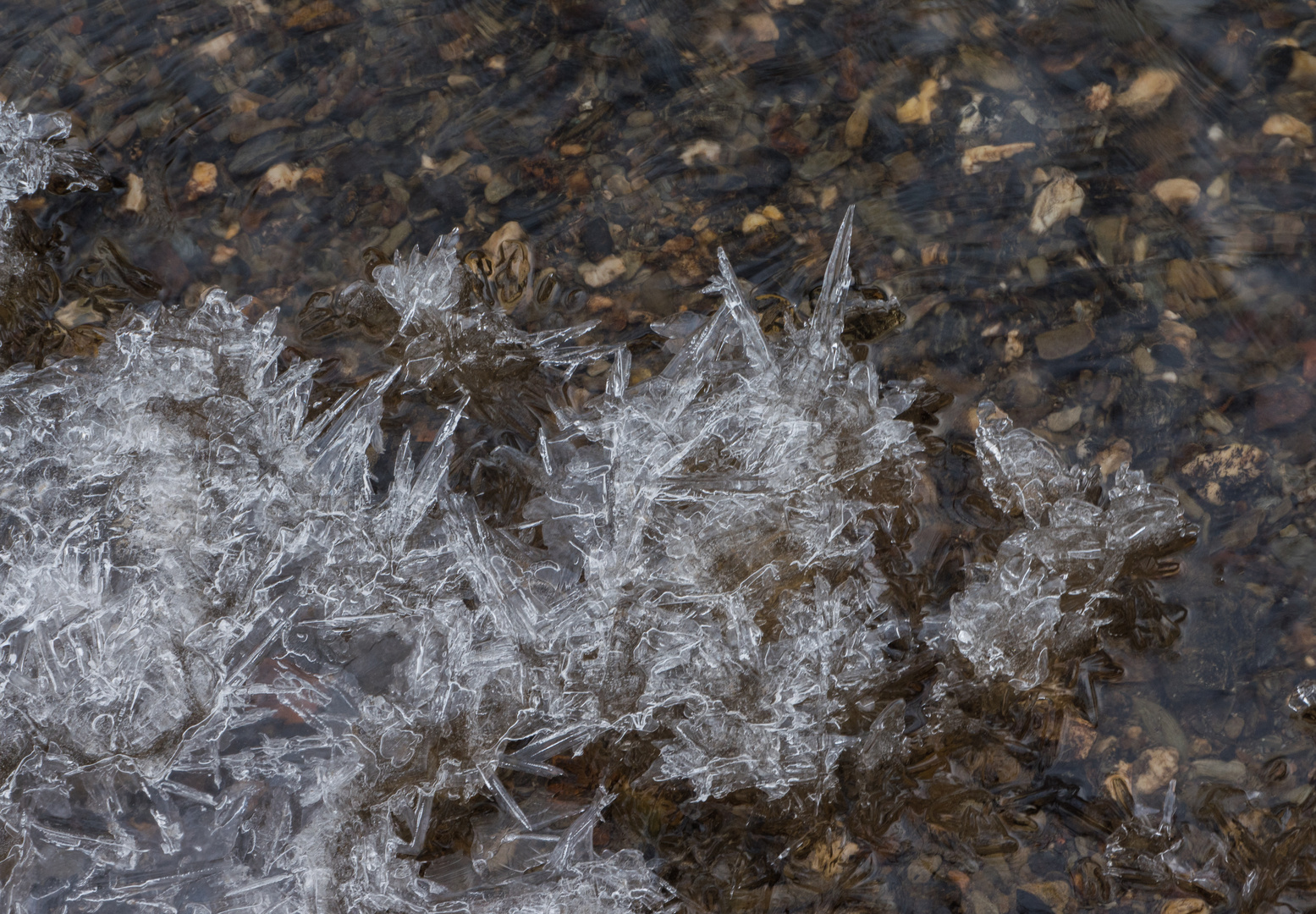 Eiskristalle auf dem Wasser