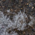 Eiskristalle auf dem Wasser