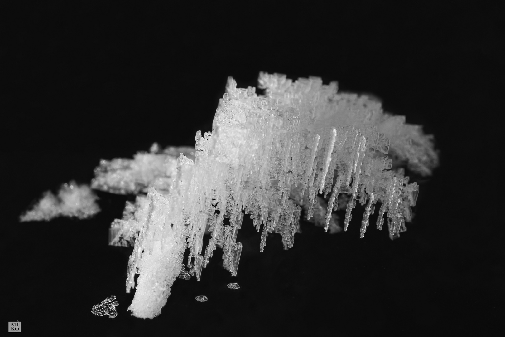 Eiskristalle auf den Steinhuder Meer