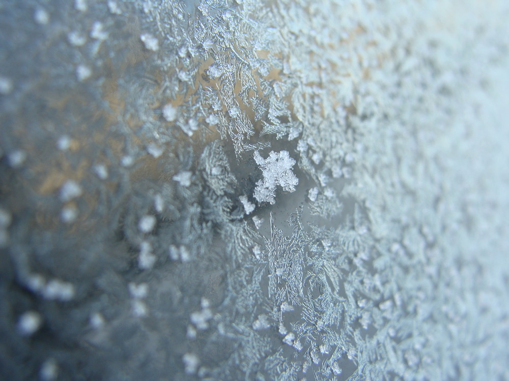 Eiskristalle auf einer Autoscheibe