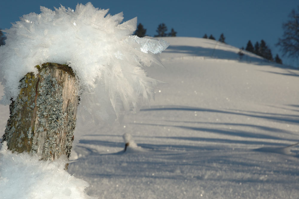 Eiskristalle auf Zaunpfosten