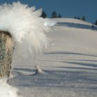 Eiskristalle auf Zaunpfosten