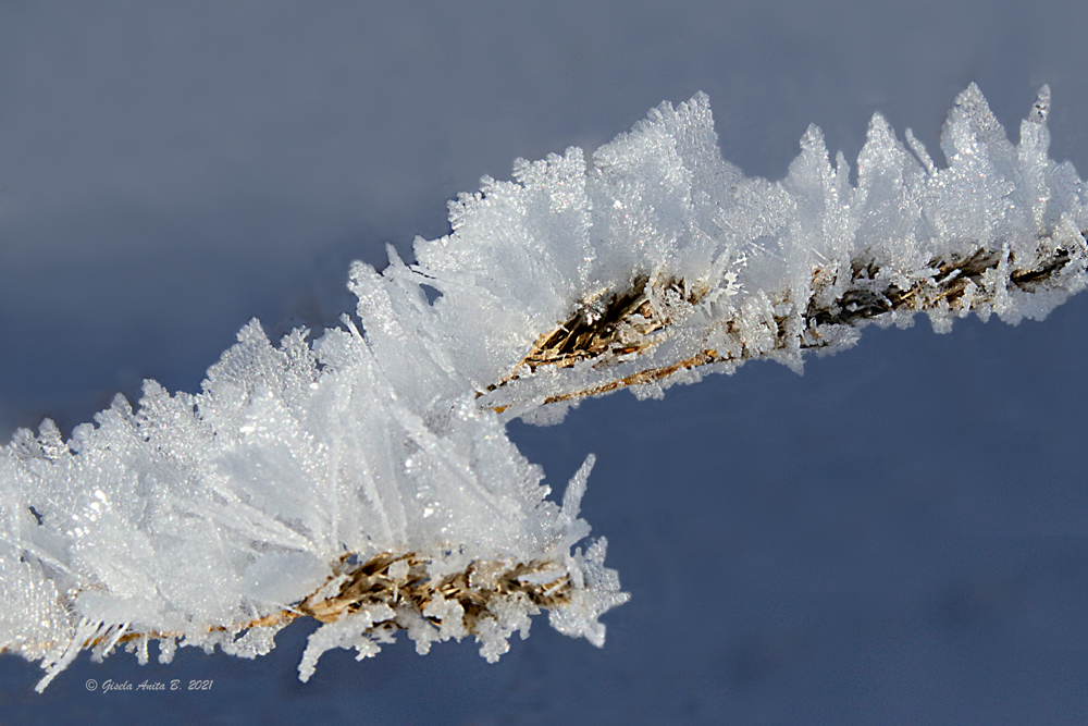 Eiskristalle bei 19 Grad minus