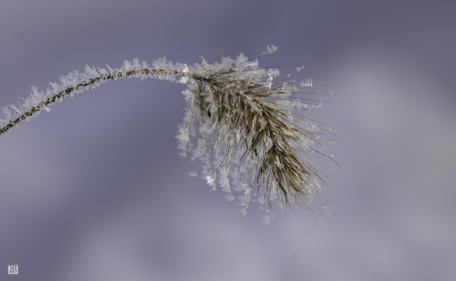 Eiskristalle bei minus 15 Grad