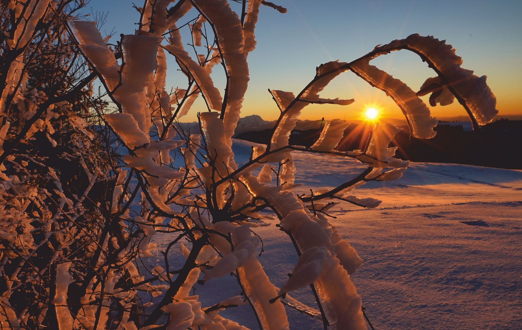 Eiskristalle bei Sonnenuntergang