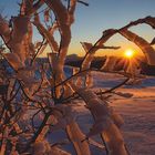 Eiskristalle bei Sonnenuntergang