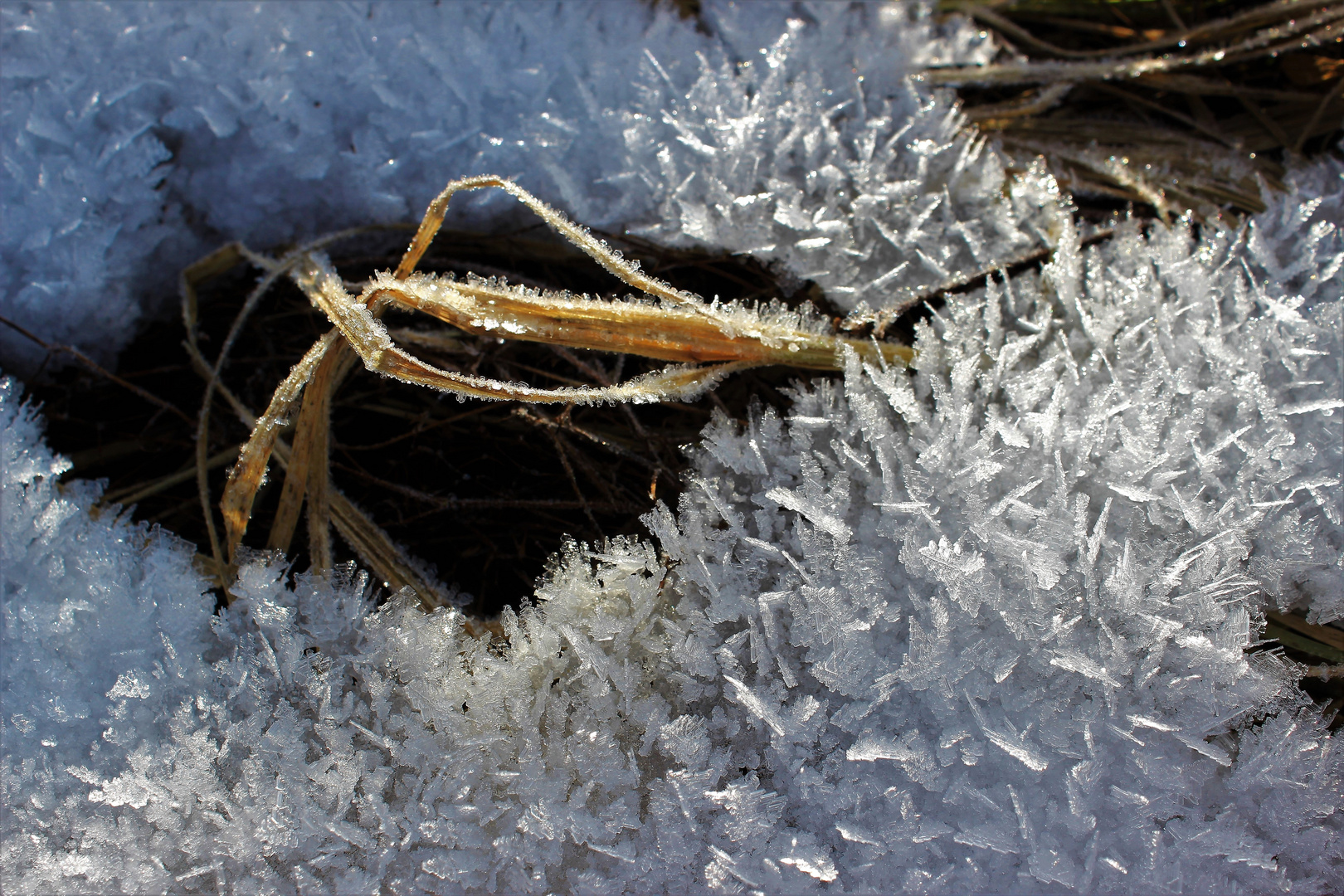 Eiskristalle