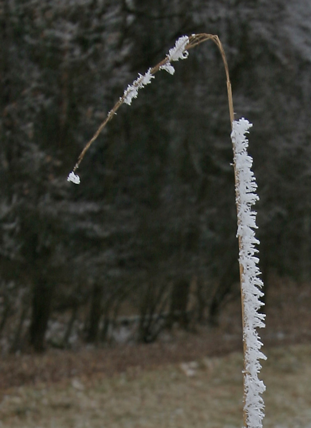 Eiskristalle