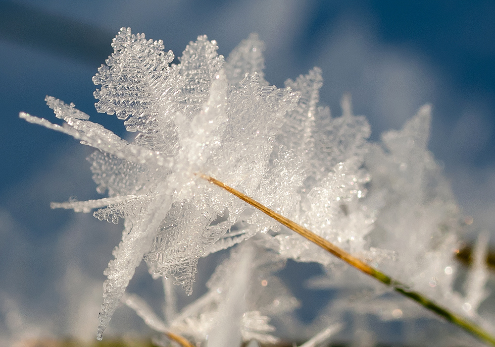 Eiskristalle