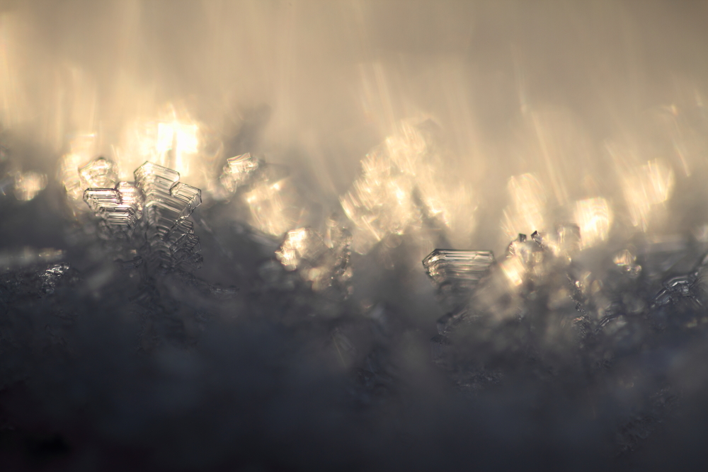 Eiskristalle im Abendlicht