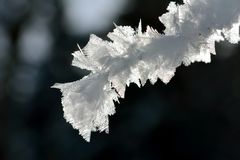 Eiskristalle im Gegenlicht.