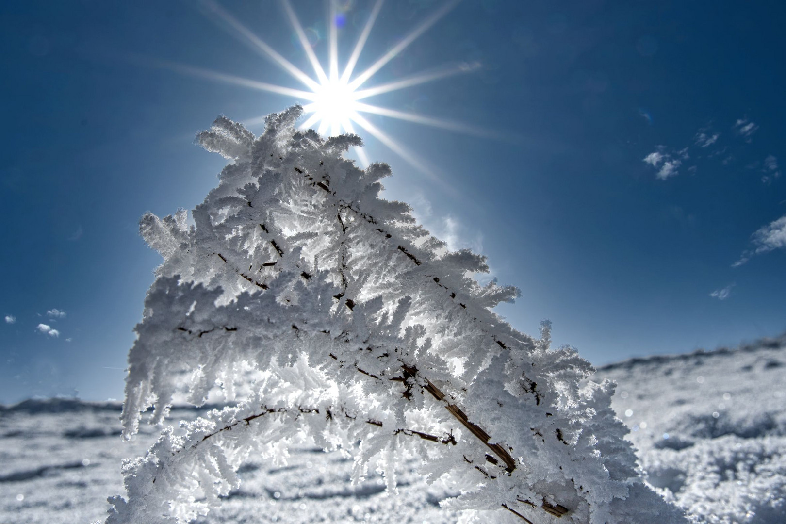 Eiskristalle im Gegenlicht