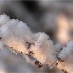 Eiskristalle im Licht