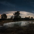 Eiskristalle im Mondlicht