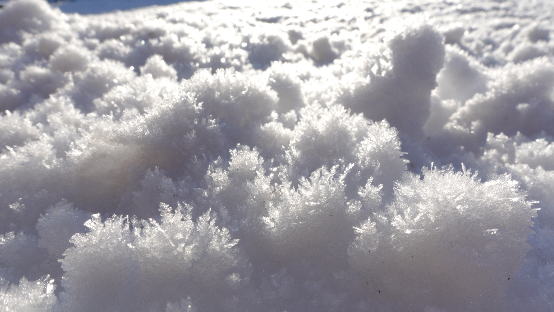 Eiskristalle im Sonnenlicht