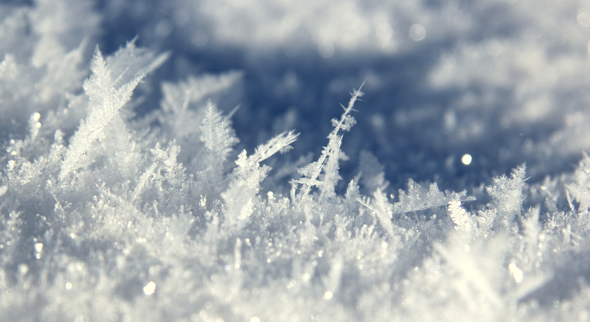 Eiskristalle Im Sonnenlicht